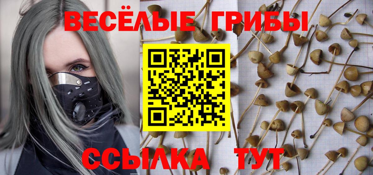 Севастополь  Псилоцибиновые грибы мухоморы  Псилоцибиновые грибы Psilocybine cubensis  Вход с VPN 