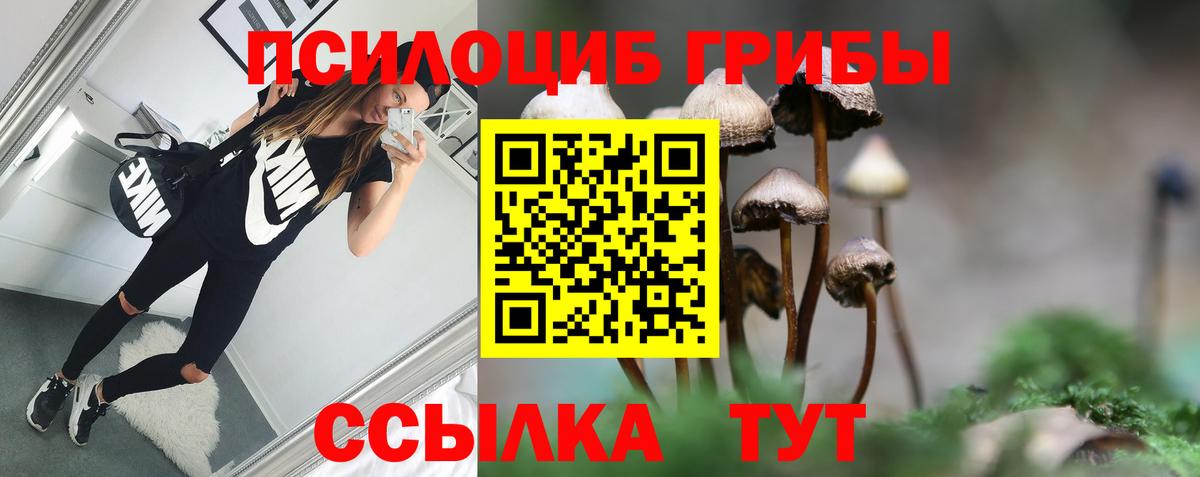 Галлюциногенные грибы MAGIC MUSHROOMS Севастополь